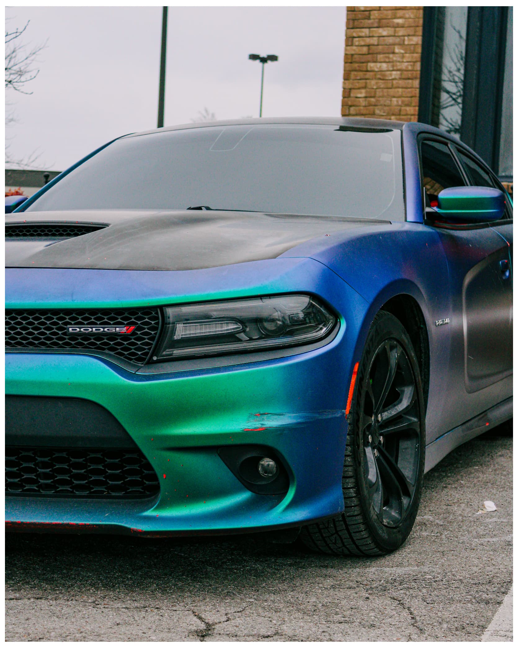 Chameleon Charger close-up color-shift detail